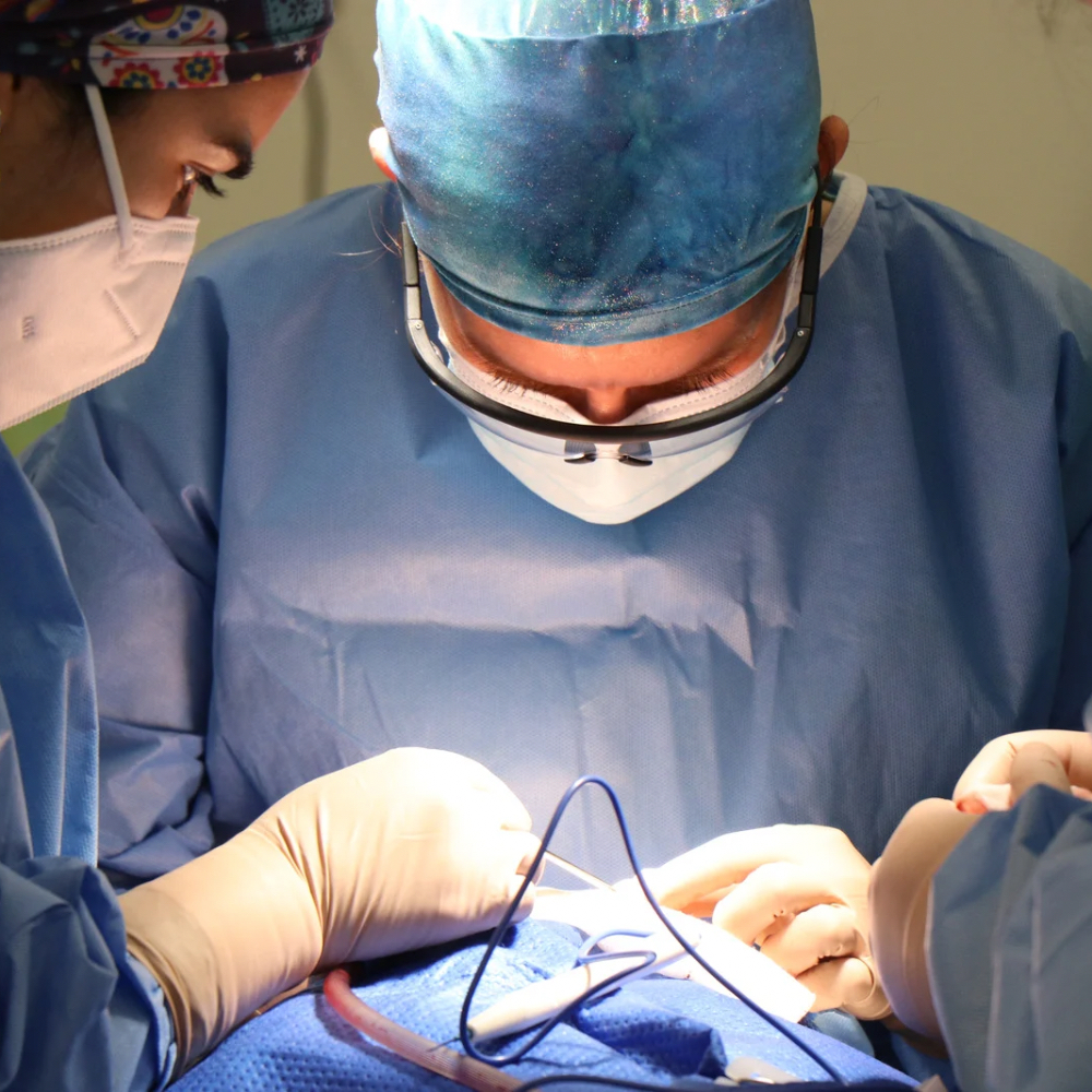 Infertility Services